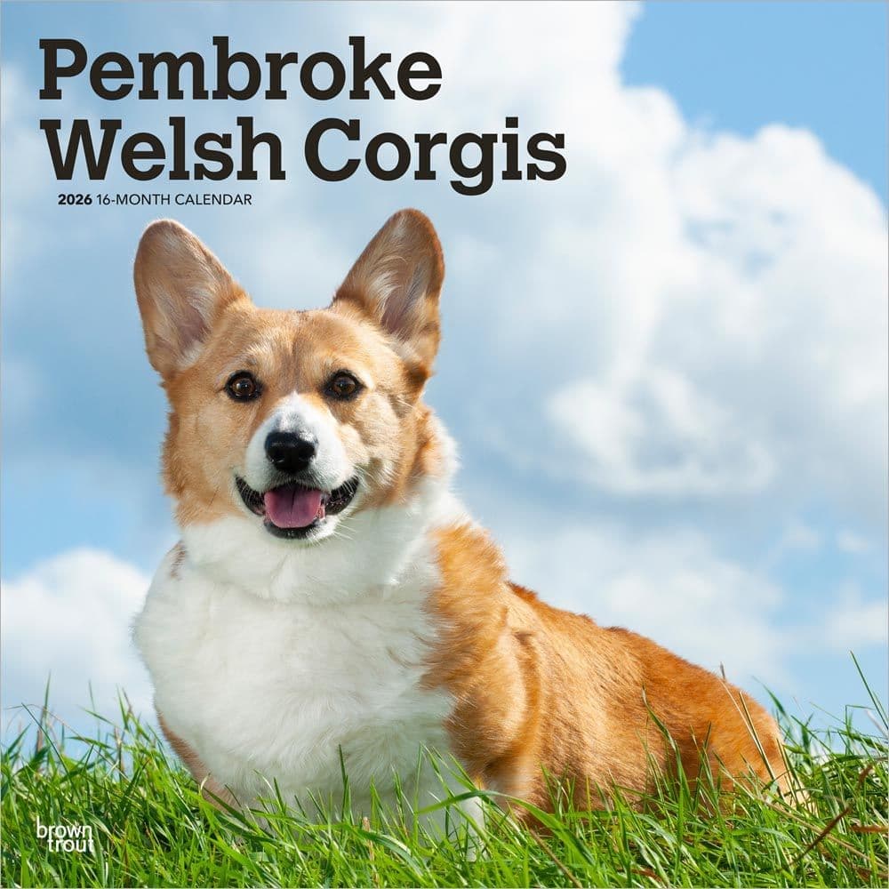 Welsh Corgis Pembroke 2026 Wall Calendar
