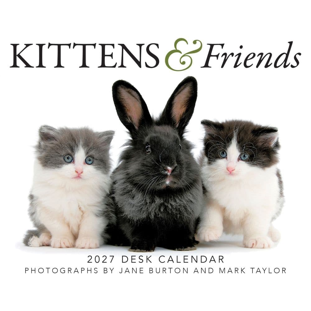 Kittens and Friends 2027 Desk Calendar