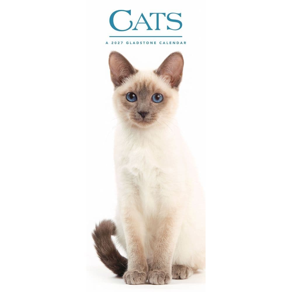 Cats 2027 Vertical Wall Calendar