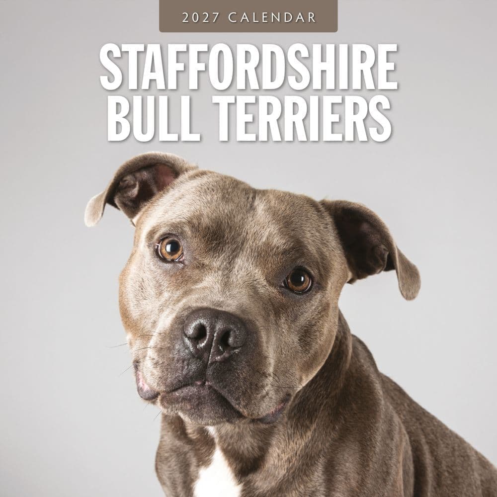 Staffordshire Bull Terriers 2027 Wall Calendar
