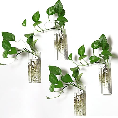 4 Pack Wall Hanging Planters Glass Terrariums - Rectangle Shape Plants Holders Flowers Glass Wall Vase Containers for Plant, Decoration and Display