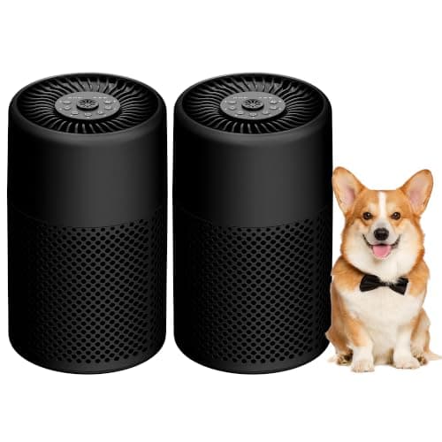 Air Purifiers for Bedroom, Dorm Room, True HEPA Filter for Smoke, Black | Small Air Purifier for Wildfire Smoke, Dust, Pet Dander, 24dB Quiet Sleep