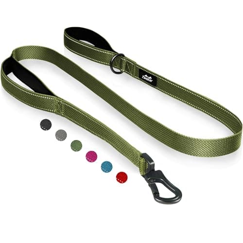TwoEar 6FT 1IN Strong Green Dog Leash with 2 Padded Handles, Traffic Handle Extra Control, Comfortable Soft Dual Handle, Auto Lock Hook, Reflective