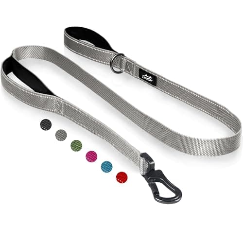 TwoEar 6FT 1IN Strong Gray Dog Leash with 2 Padded Handles, Traffic Handle Extra Control, Comfortable Soft Dual Handle, Auto Lock Hook, Reflective