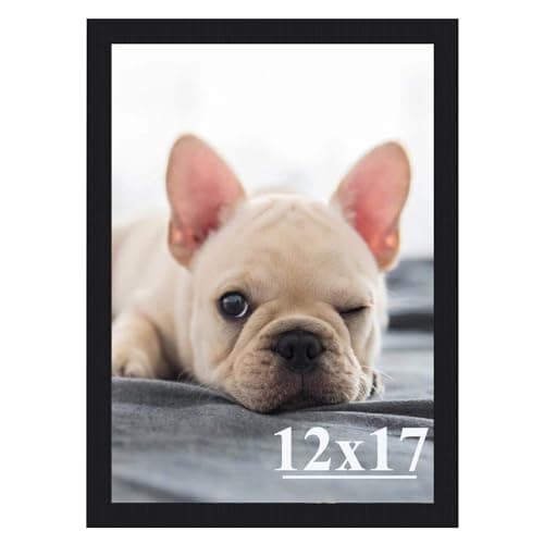 RUN HELIX 12x17 Picture Frame, Wall Gallery Photo Frames,Stable and Sturdy Black Frame with High Definition Plexiglass,12x17 Poster Photo