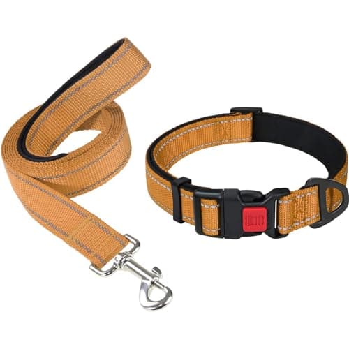 Taglory 10"-16" Dog Collar and 6 FT Dog Leash Set, Highly Reflective Threads Dog Leash, Adjustable Reflective Dog Collar with Safety Locking Buckle