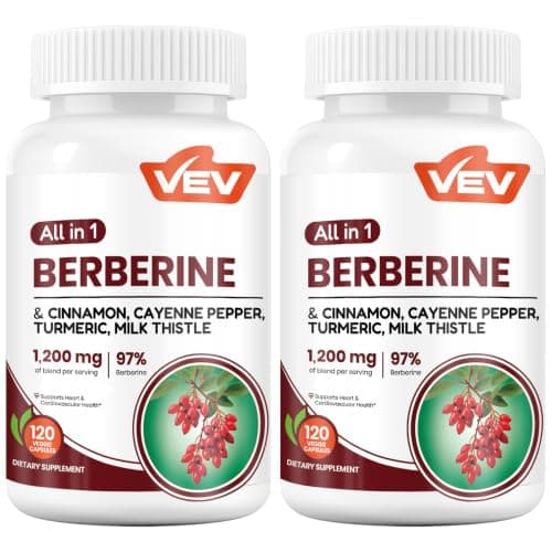 VEV Berberine Supplement with Ceylon Cinnamon for Daily Wellness Support– 2 Bottles (240 Capsules Total)