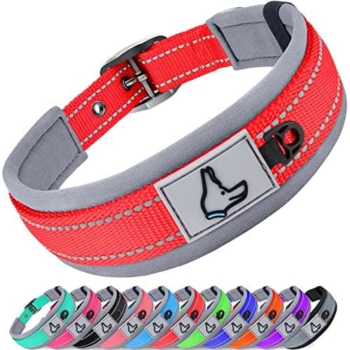 Joytale Reflective Dog Collar for Small Dogs with Wide Padding, Red | Soft Cushion Reduce Neck Strain, Night Safety Walking, Metal Buckle and