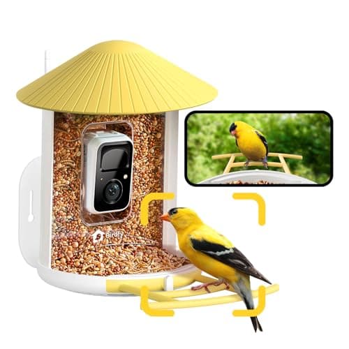 NETVUE by Birdfy AI Smart Bird Feeder with Camera, AI Auto Capture Each Bird Visit & Identify 6000+ Species, Cloud Store & Live Birdwatching, Ideal