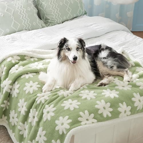 LE SURE Waterproof Dog Blankets for Large Dogs Cute Cozy 3D Jacquard,50x60 | Warm Soft Pet Blanket for Senior Dogs Aesthetic Gift, Washable Sherpa