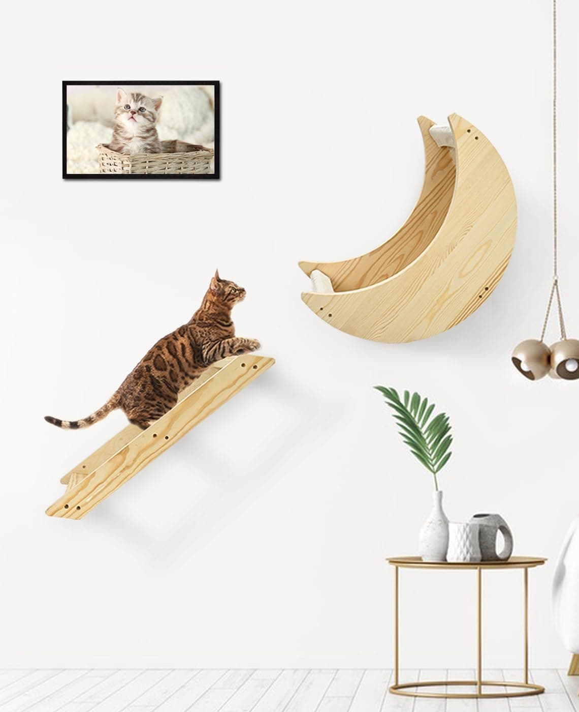 Cat Wall Shelves, Cat Shelves for Wall with Step, Wall Mounted Cat Furniture, Cat Wall Furniture for Climbing, Sleeping and Playing, Cat Wall Steps