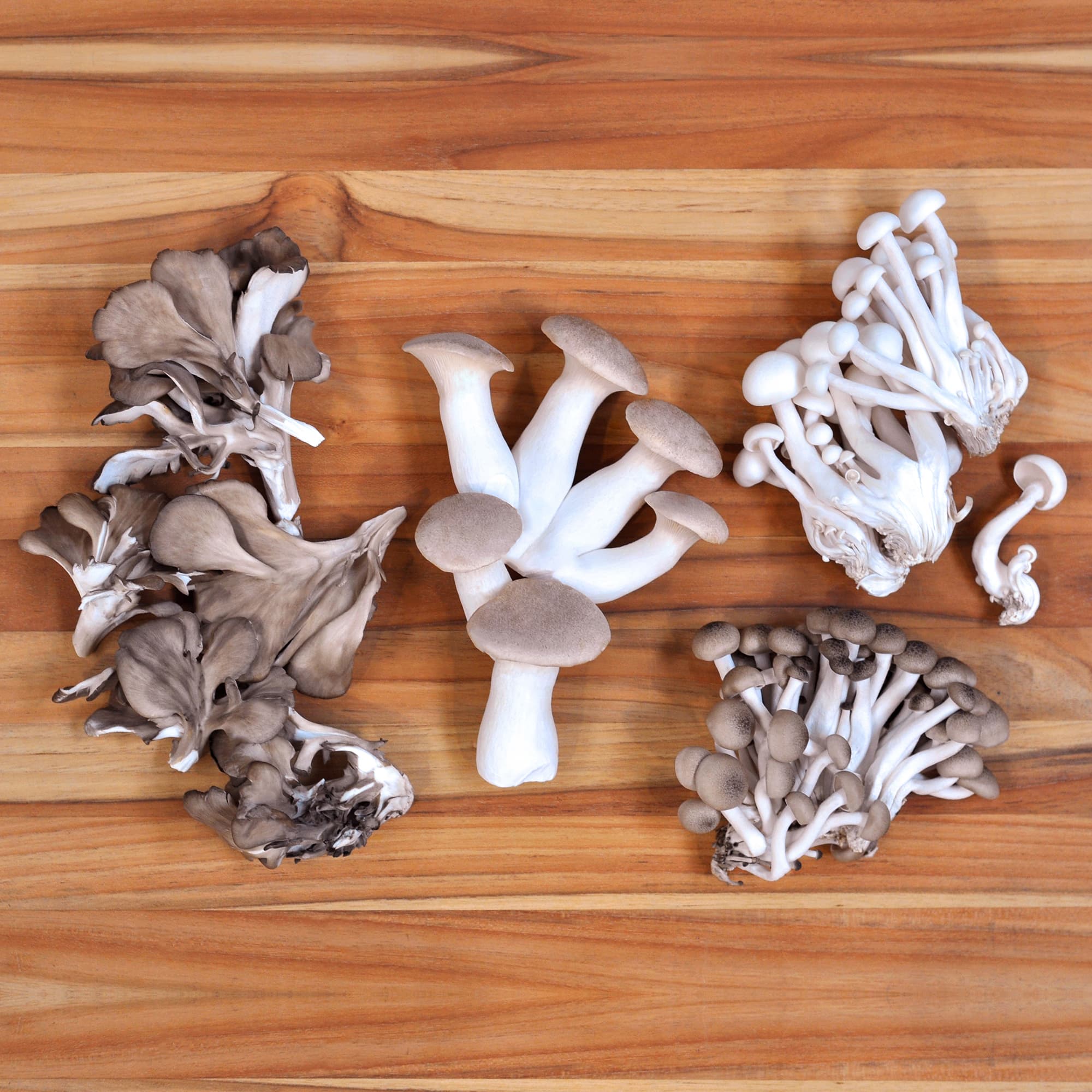 Organic Chef's Mix Mushrooms: Fresh / 1 lb avg. each (Mix of Trumpet Royale, White Beech, Hon-shimeji, Maitake) by D'Artagnan